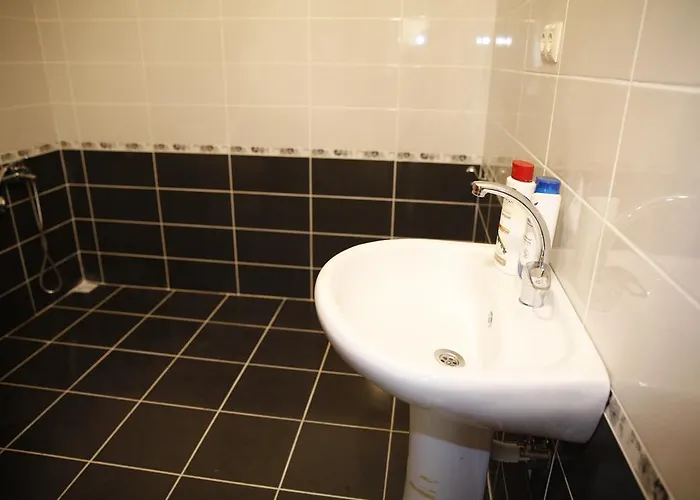 & Hizmetleri * Trabzon