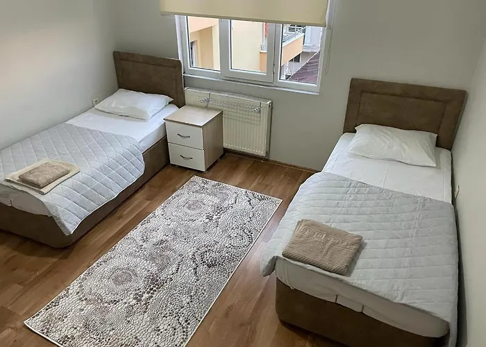 & Hizmetleri * Trabzon